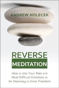 Book Cover for Reverse Meditation by Andrew Holecek
