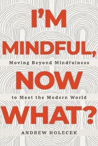 Book Cover for I'm Mindful, Now What? by Andrew Holecek