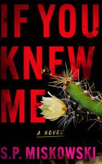 Book Cover for If You Knew Me by SP Miskowski