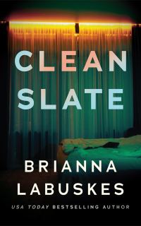 Book Cover for Clean Slate by Brianna Labuskes