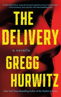 Book Cover for The Delivery by Gregg Hurwitz