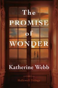 Book Cover for The Promise of Wonder by Katherine Webb