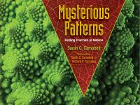 Book Cover for Mysterious Patterns by Sarah C Campbell