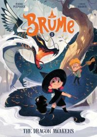Book Cover for The Dragon Awakens by Jérôme Pélissier