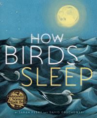 Book Cover for How Birds Sleep by Sarah Pedry, David Obuchowski
