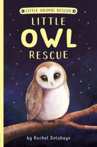 Book Cover for Little Owl Rescue by Rachel Delahaye