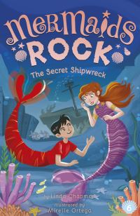 Book Cover for The Secret Shipwreck by Linda Chapman
