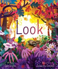 Book Cover for Look by Gabi Snyder