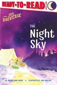 Book Cover for The Night Sky by Marion Dane Bauer