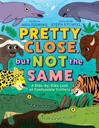 Book Cover for Pretty Close, but Not the Same by Meg Fleming