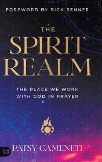 Book Cover for The Spirit Realm by Patsy Cameneti