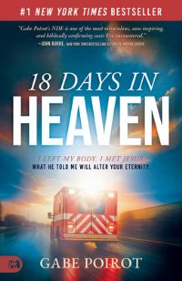 Book Cover for 18 Days In Heaven by 
