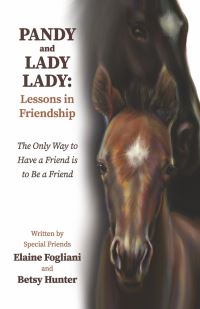 Book Cover for Pandy and Lady Lady by Elaine Fogliani, Betsy Hunter
