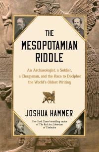 Book Cover for The Mesopotamian Riddle by Joshua Hammer