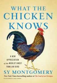 Book Cover for What the Chicken Knows by Sy Montgomery
