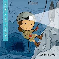 Book Cover for Cave by Susan H Gray