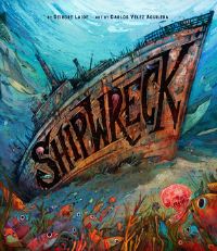Book Cover for Shipwreck by Deirdre Laide