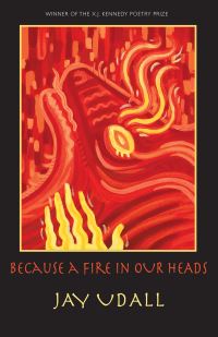 Book Cover for Because a Fire in Our Heads by Jay Udall