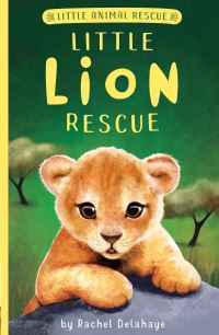 Book Cover for Little Lion Rescue by Rachel Delahaye, Artful Doodlers Ltd