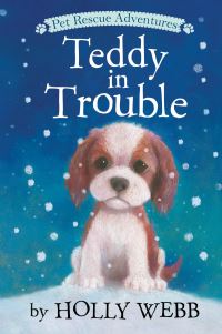 Book Cover for Teddy in Trouble by Holly Webb
