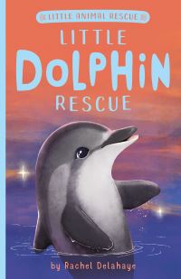 Book Cover for Little Dolphin Rescue by Rachel Delahaye