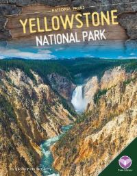 Book Cover for Yellowstone National Park by Cecilia Pinto McCarthy
