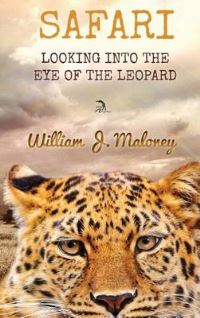 Book Cover for Safari by Lisa Mullarkey