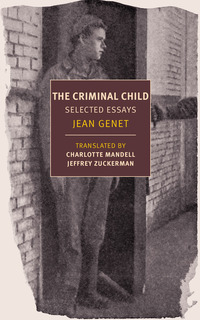 Book Cover for The Criminal Child by Jean Genet