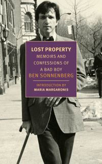 Book Cover for Lost Property by Ben Sonnenberg