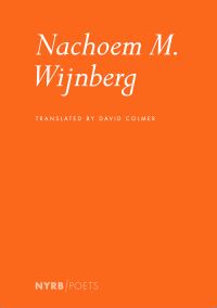 Book Cover for Nachoem M. Wijnberg by Nachoem M Wijnberg