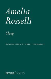 Book Cover for Sleep by Amelia Rosselli