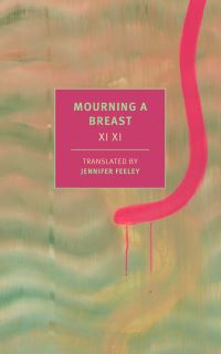 Book Cover for Mourning a Breast by Xi Xi