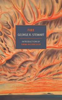Book Cover for Fire by George R Stewart