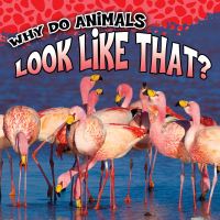 Book Cover for Why Do Animals Look Like That? by Sam George