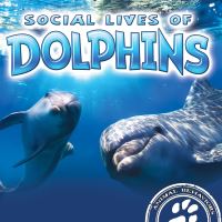 Book Cover for Social Lives of Dolphins by Sue Laneve