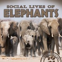Book Cover for Social Lives of Elephants by Mari Schuh
