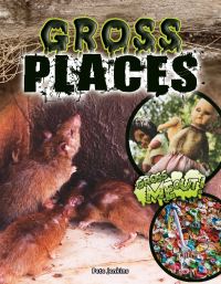 Book Cover for Gross Places by Pete Jenkins