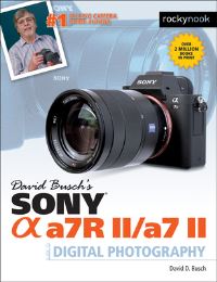 Book Cover for David Busch's Sony Alpha A7RII/A7II Guide to Digital Photography by David D Busch