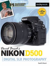 Book Cover for David Busch's Nikon D500 Guide to Digital Photography by David D Busch