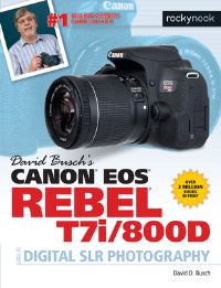 Book Cover for David Busch's Canon EOS Rebel T7i/800d by David D Busch