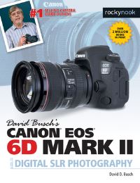 Book Cover for David Busch's Canon EOS 6D Mark II by David D Busch