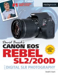 Book Cover for David Busch's Canon EOS Rebel SL2/200D by David D Busch