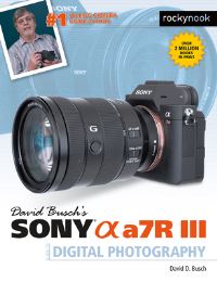 Book Cover for David Busch's Sony Alpha a7R III by David D Busch