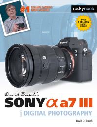 Book Cover for David Busch's Sony [Alpha] A7 III by David D Busch