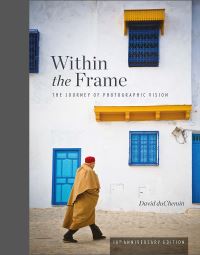 Book Cover for Within the Frame by David DuChemin