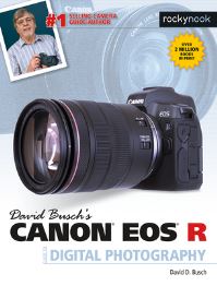 Book Cover for David Busch's Canon EOS R Guide to Digital Photography by David D Busch