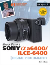 Book Cover for David Busch's Sony [Alpha] A6400/ILCE-6400 by David D Busch