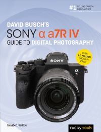 Book Cover for David Busch's Sony Alpha a7R IV Guide to Digital Photography by David D Busch