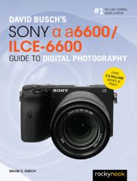 Book Cover for David Busch's Sony [Alpha] A6600/ILCE-6600 by David D Busch