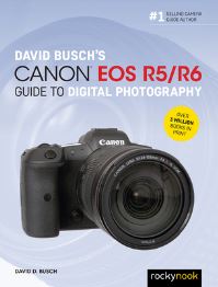 Book Cover for David Busch's Canon EOS R5/R6 by David D Busch